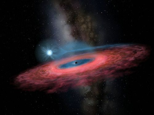 排他性是黑洞吗“最大恒星黑洞”引发学术争议