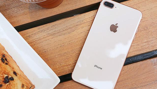 厨师拿不动它iPhone 4800发布一年后第一批用户很早就购买了它
