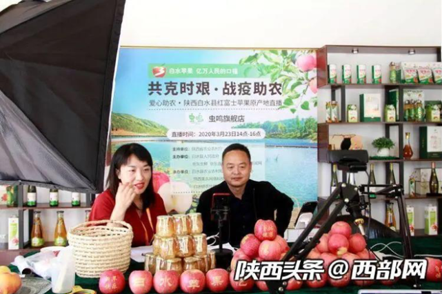 直播社区带来100吨苹果订单京东鲜助陕西白水探索苹果向上的新路径